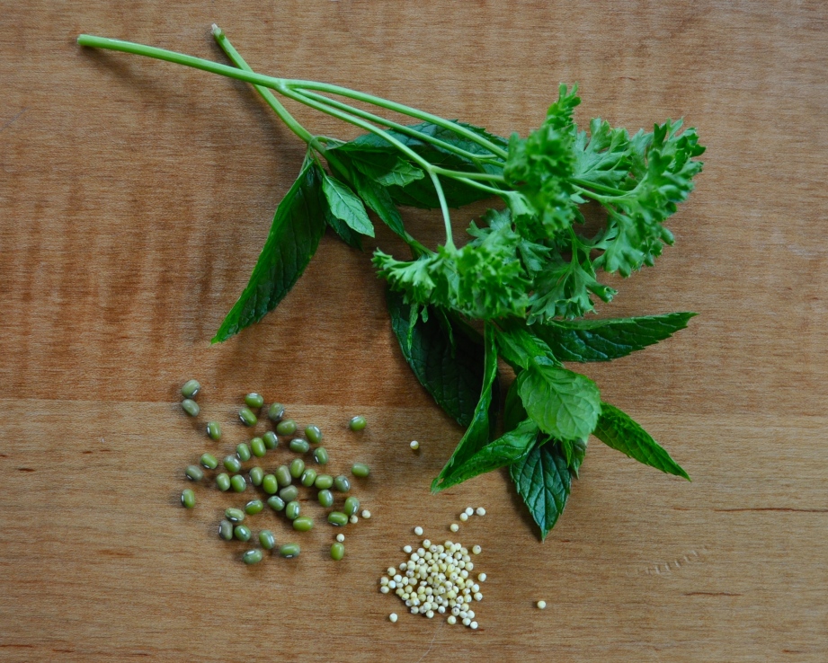 parsley, mint, quinoa, mung beans.
